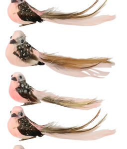 3213 OISEAUX BIRDY 6P